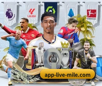 app-live-mile.com APP